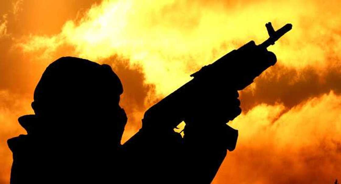 Zamfara: 'Yan bindiga sun kai farmaki, sun halaka rayuka 9 tare da sace shanu Zamfara: 'Yan bindiga sun kai farmaki, sun halaka rayuka 9 tare da sace shanu