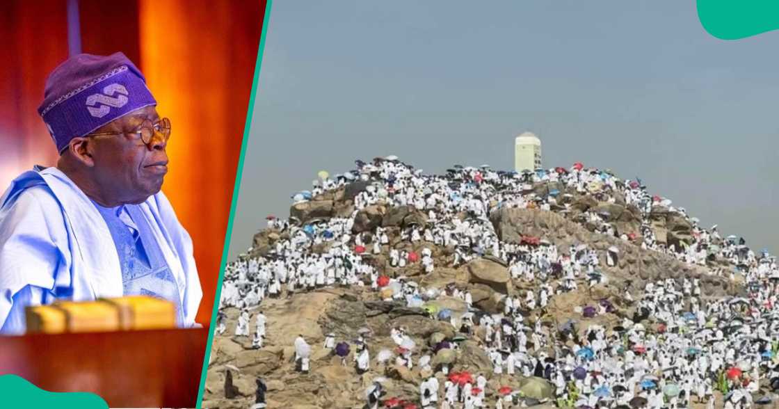 Shugaba Tinubu. Shugaba Tinubu.