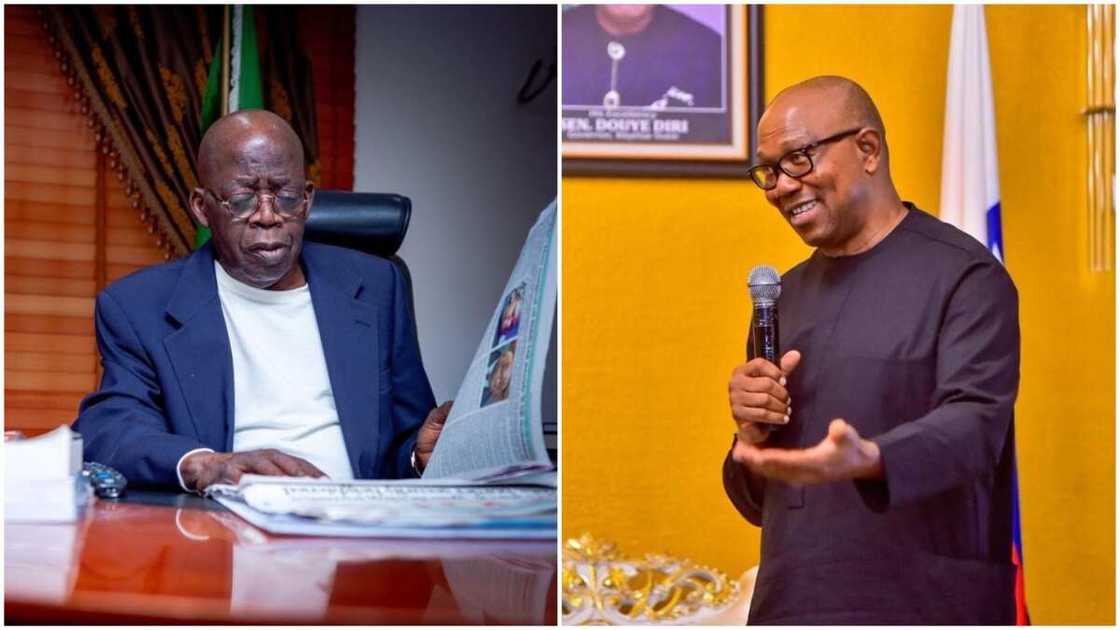 Tinubu/Peter Obi/2023 Presidential Campaign Tinubu/Peter Obi/2023 Presidential Campaign
