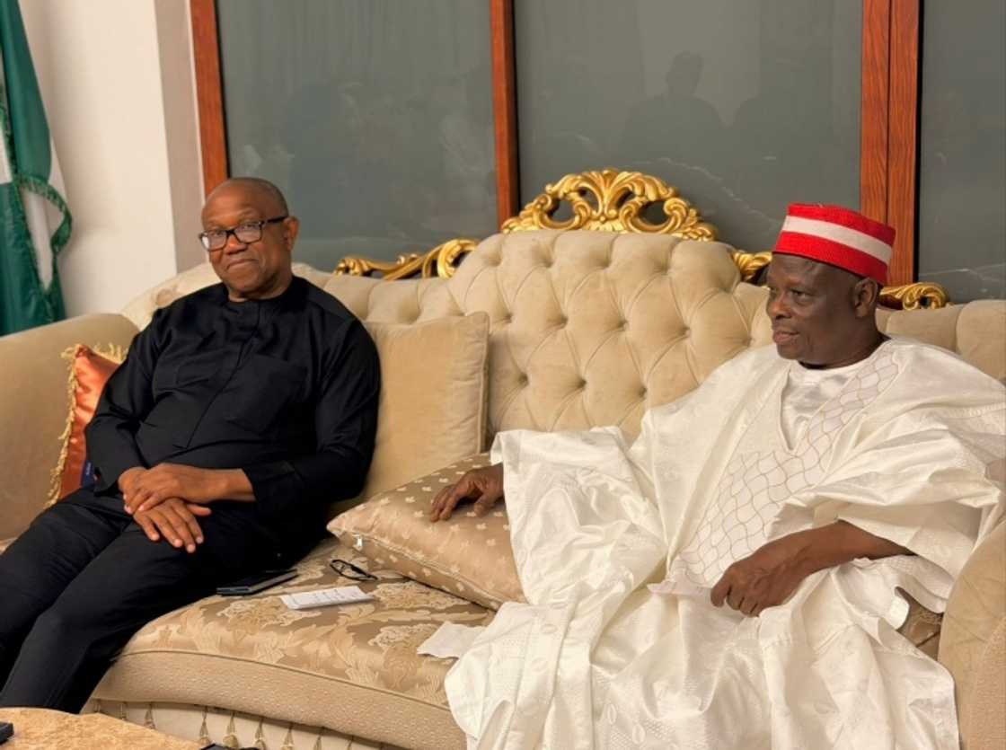 Peter Obi ya ziyarci Kwankwaso Peter Obi ya ziyarci Kwankwaso