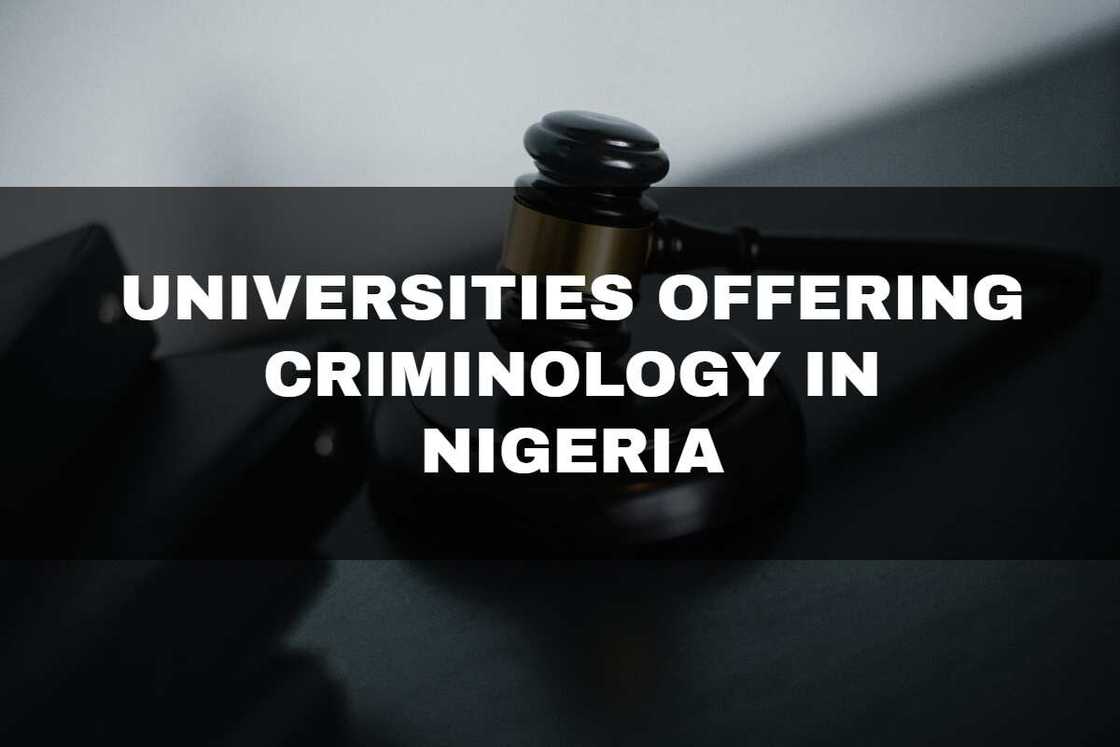 Universities offering Criminology Universities offering Criminology