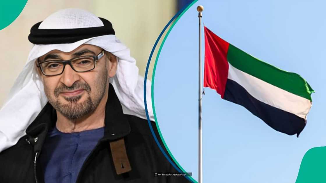 UAE lists 7 common mistakes that may stop foreigners from getting Dubai visas