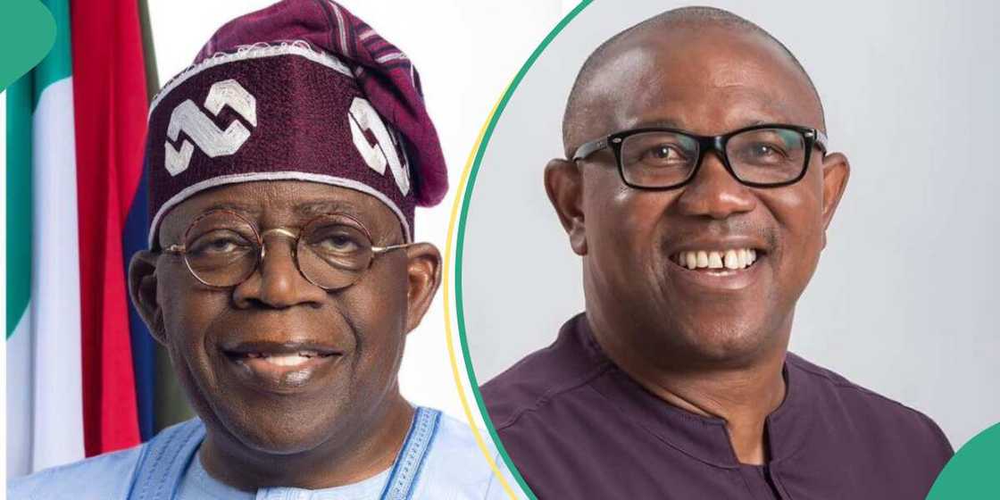 Tribunal says Tinubu, Shettima can't challenge Peter Obi's candidacy Tribunal says Tinubu, Shettima can't challenge Peter Obi's candidacy