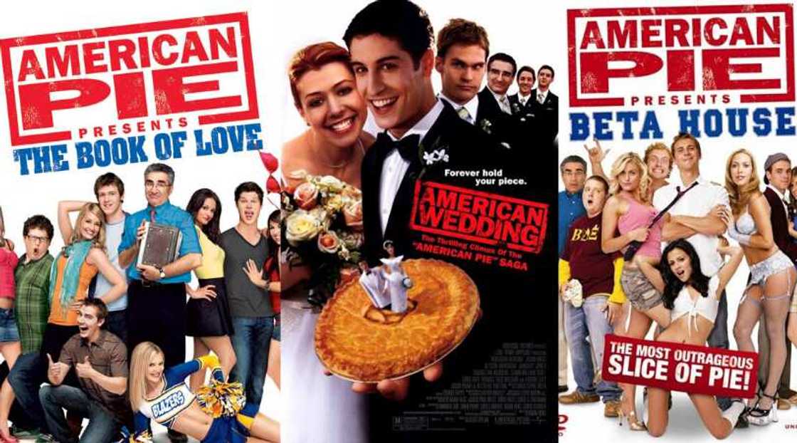 american pie movies in order american pie movies in order