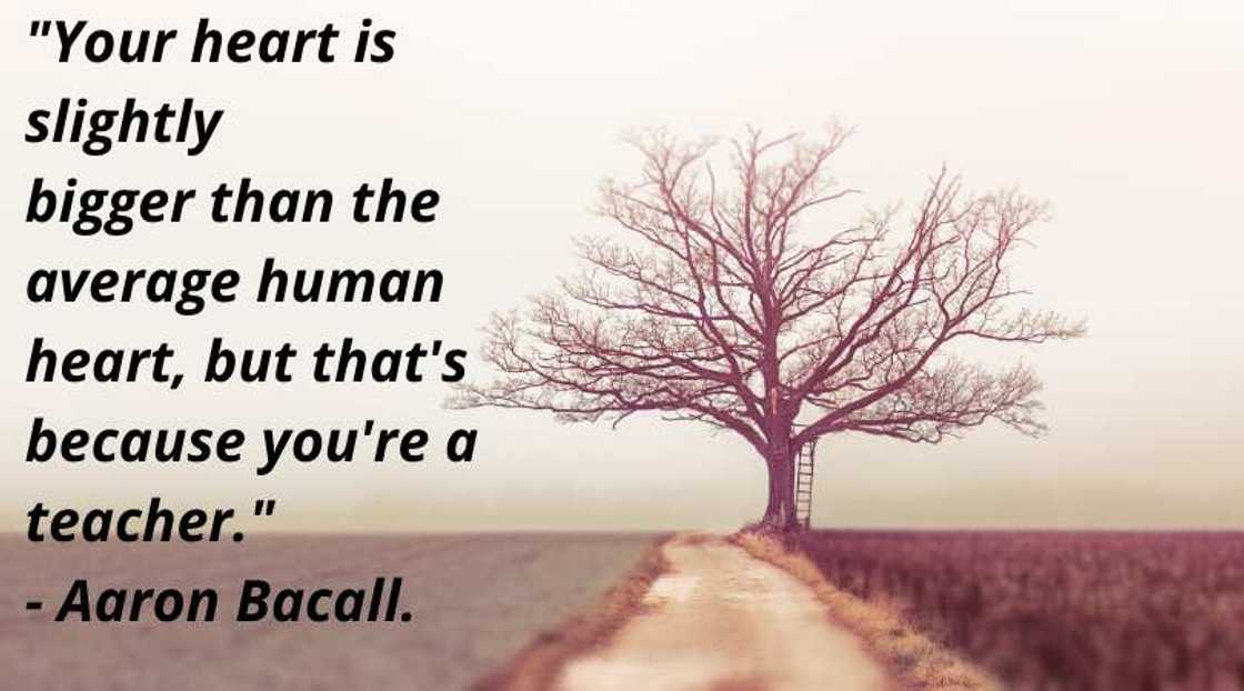 Thank you quotes for teachers Thank you quotes for teachers