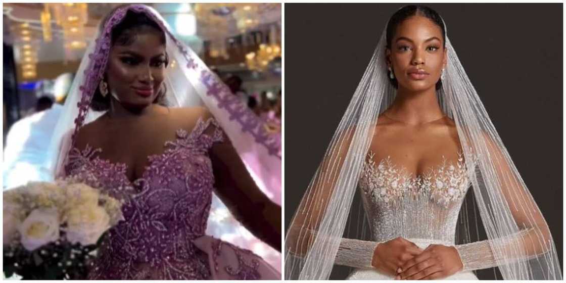 Wedding dress/wedding fashion Wedding dress/wedding fashion