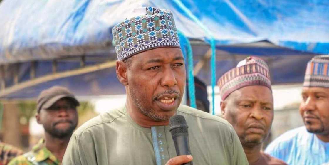 Zulum Ya Gwangwaje Tubabbun ’Yan Daba Su 152 Da Naira Miliyan 100 a Borno