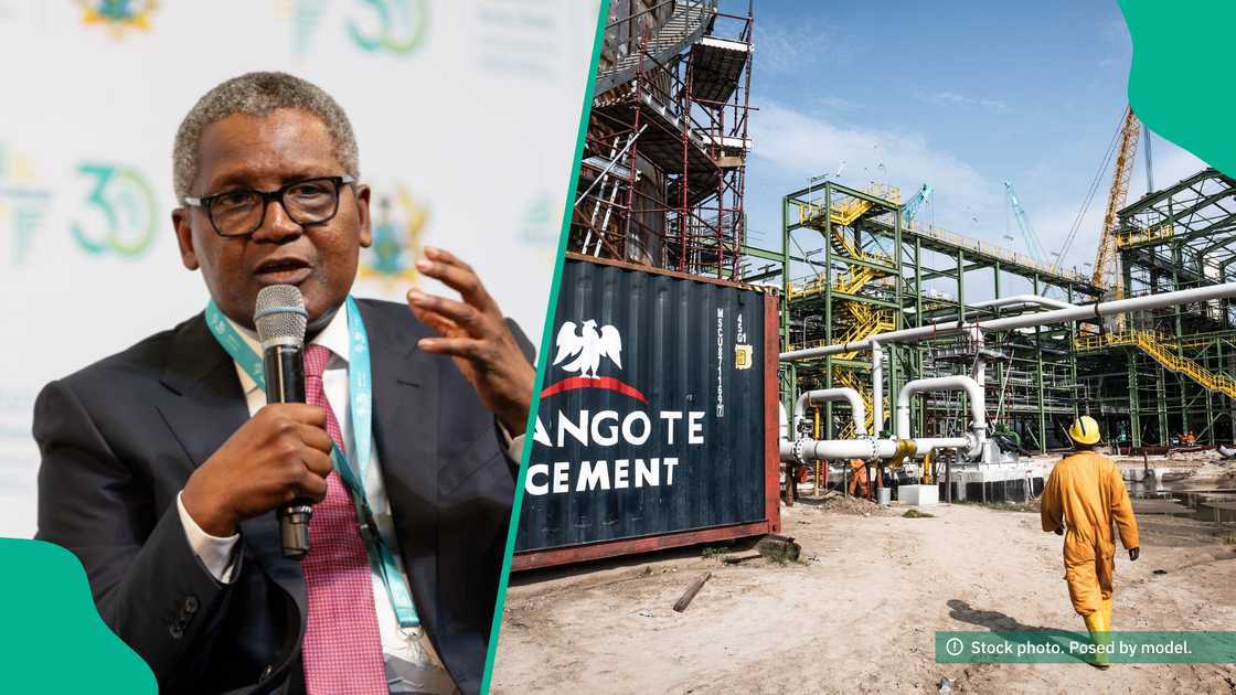 Dangote net worth rises