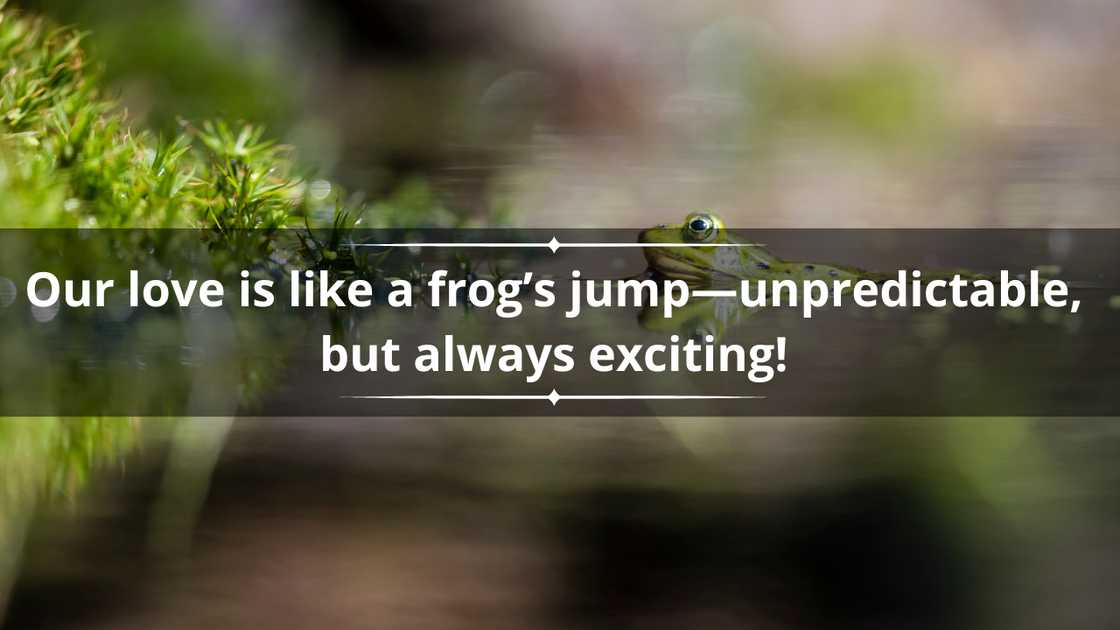 Frog puns about love