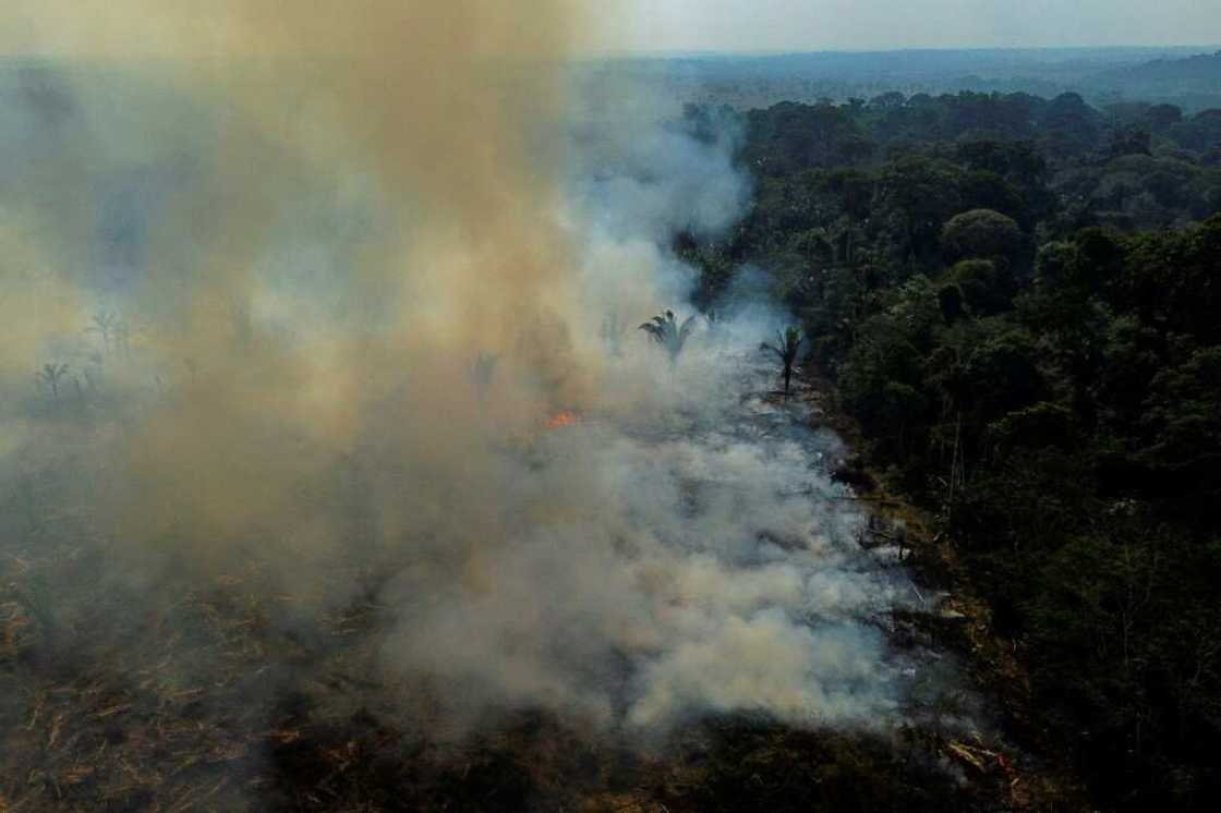 Images of the Amazon burning have fueled international condemnation of a surge in destruction in the world's largest rainforest under Bolsonaro Images of the Amazon burning have fueled international condemnation of a surge in destruction in the world's largest rainforest under Bolsonaro
