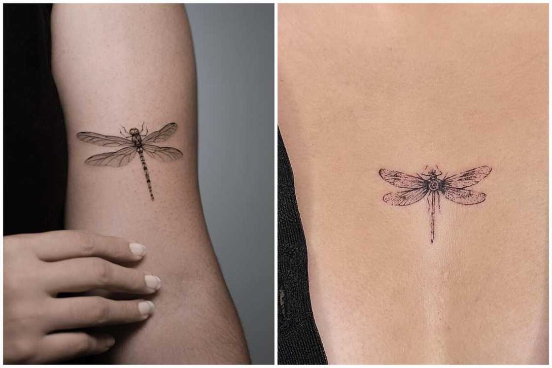 Growth tattoo Growth tattoo