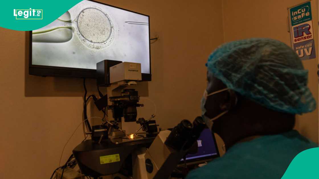 Nigeria faces widespread HIV concerns with new cases reported across 37 states. Nigeria faces widespread HIV concerns with new cases reported across 37 states.