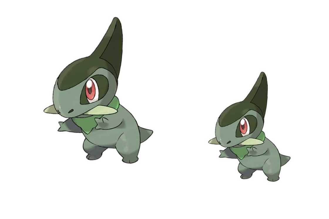 rarest pokemon in pokemon go rarest pokemon in pokemon go