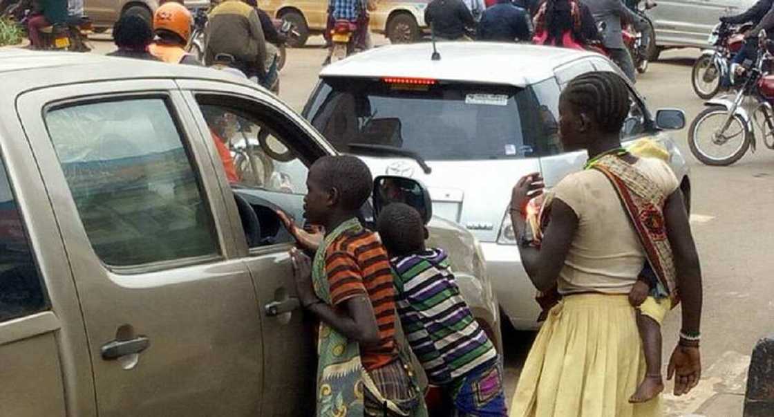 Wasu mabarata Wasu mabarata