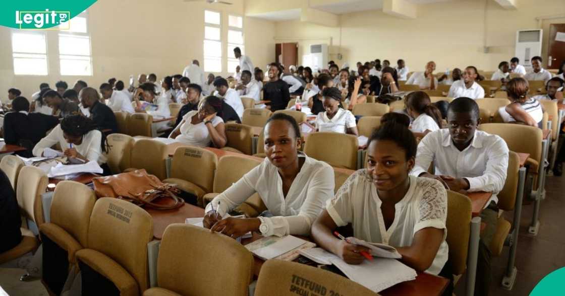Nigerian students running businesses can now apply for NANSInnovate and access mentorship