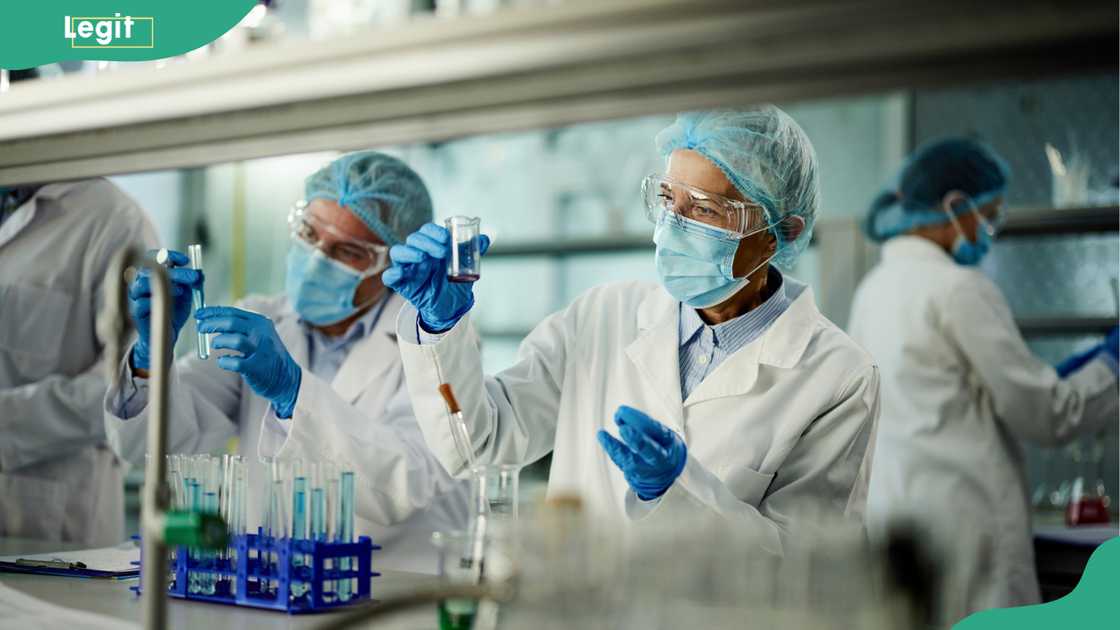 Team of scientists working on a research in laboratory. Team of scientists working on a research in laboratory.