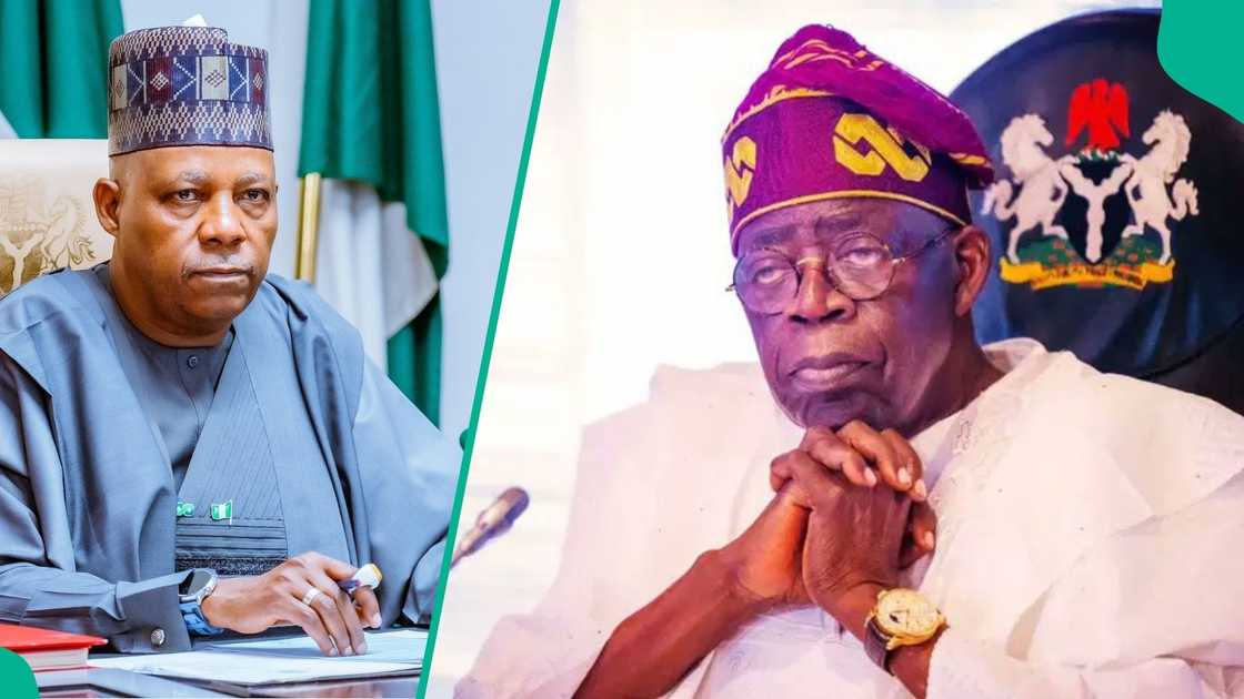 Professor Mansur Ibrahim Sokoto says Bola Ahmed Tinubu wins the 2023 election using a Muslim-Muslim ticket.