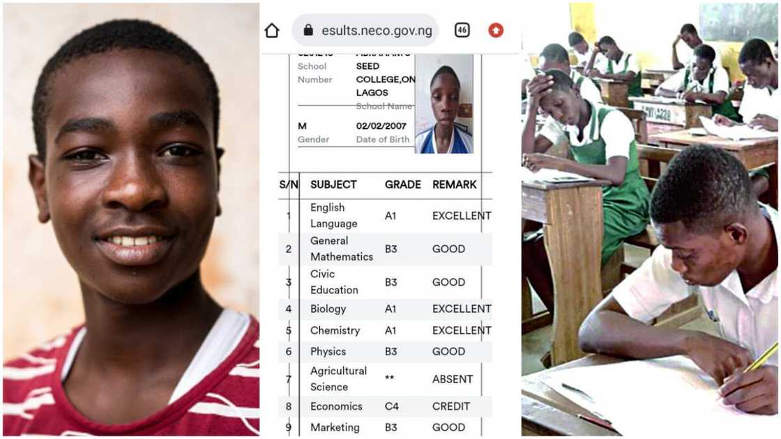 2023 NECO results/Boy scored distinctions.