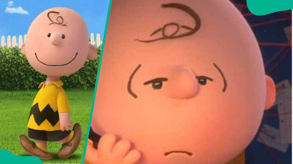 Charlie Brown from Peanuts