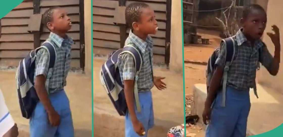 Boy confronts older girl. Boy confronts older girl.