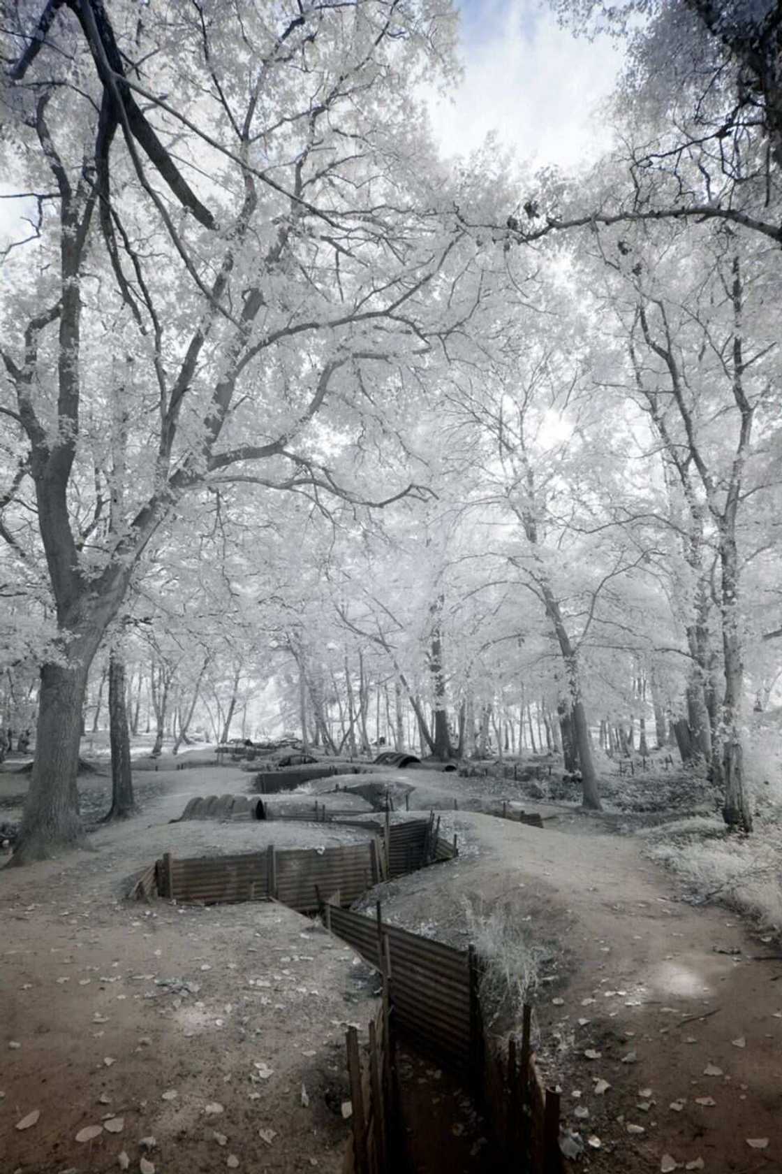 Ku kashe kwalkwatar Ido: Hotunan filin dagar da aka gwabza yakin duniya na daya Ku kashe kwalkwatar Ido: Hotunan filin dagar da aka gwabza yakin duniya na daya