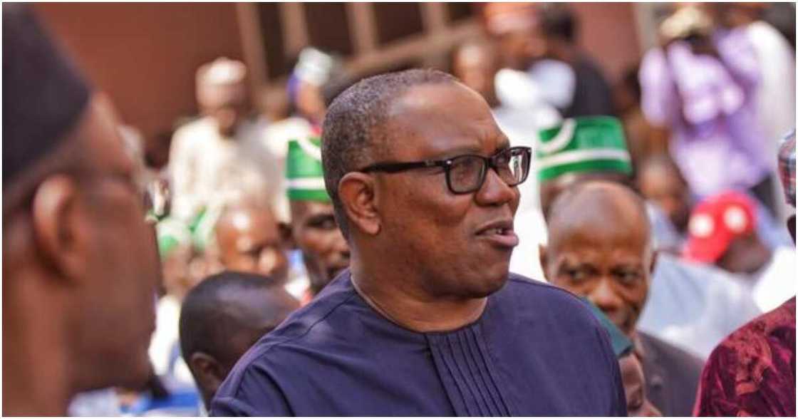 Peter Obi, Labour Party, 2023 election