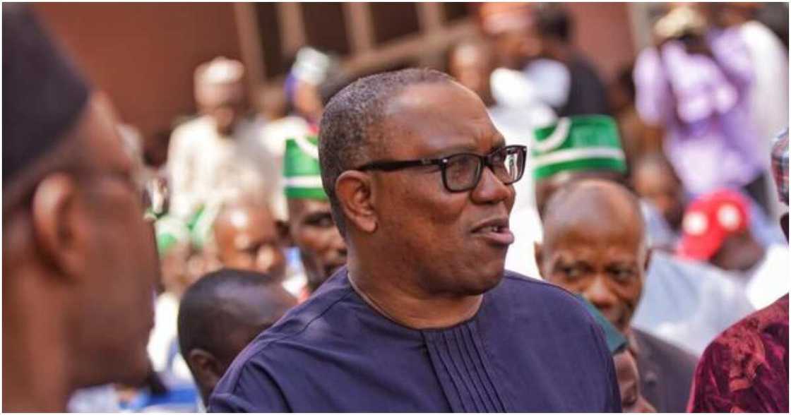 Peter Obi, Labour Party, 2023 election Peter Obi, Labour Party, 2023 election
