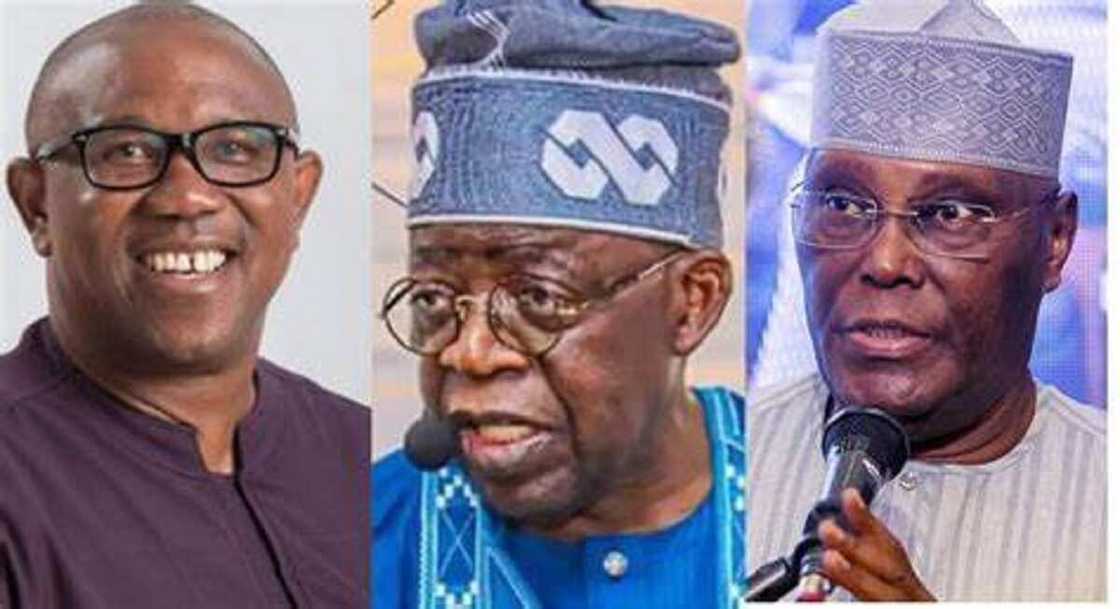 Peter Obi, Atiku Abubakar, Bola Tinubu, Labour party, APC, PDP, 2023 presidential election, Twitter followers Peter Obi, Atiku Abubakar, Bola Tinubu, Labour party, APC, PDP, 2023 presidential election, Twitter followers