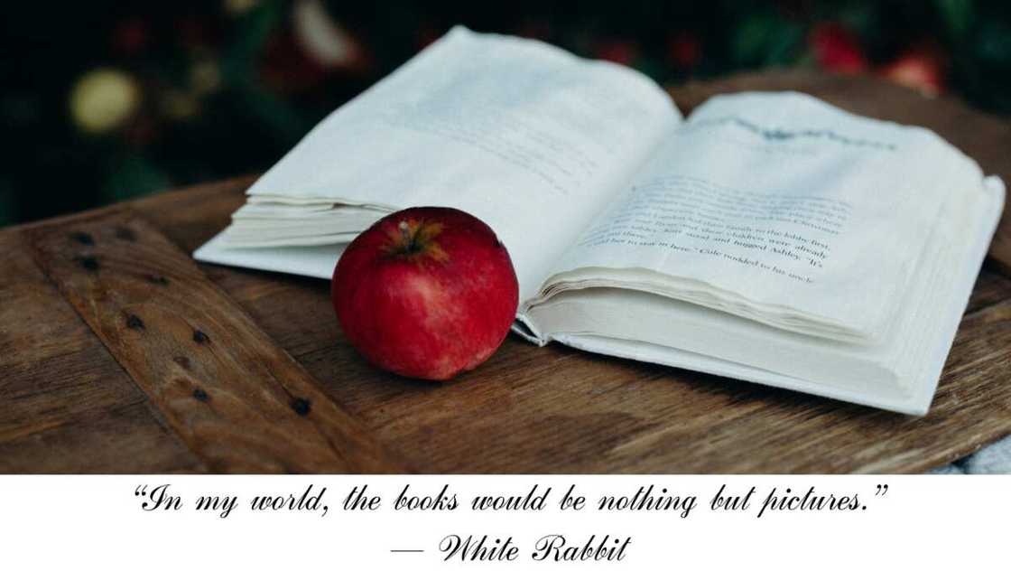 Alice in Wonderland book quotes Alice in Wonderland book quotes