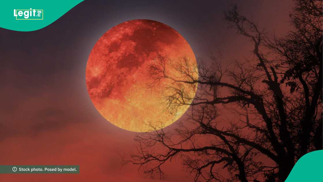 The 2025 lunar eclipse will make the moon totally turn red as space lovers in Europe, parts of Asia, parts of Australia and Africa gear up to see it.