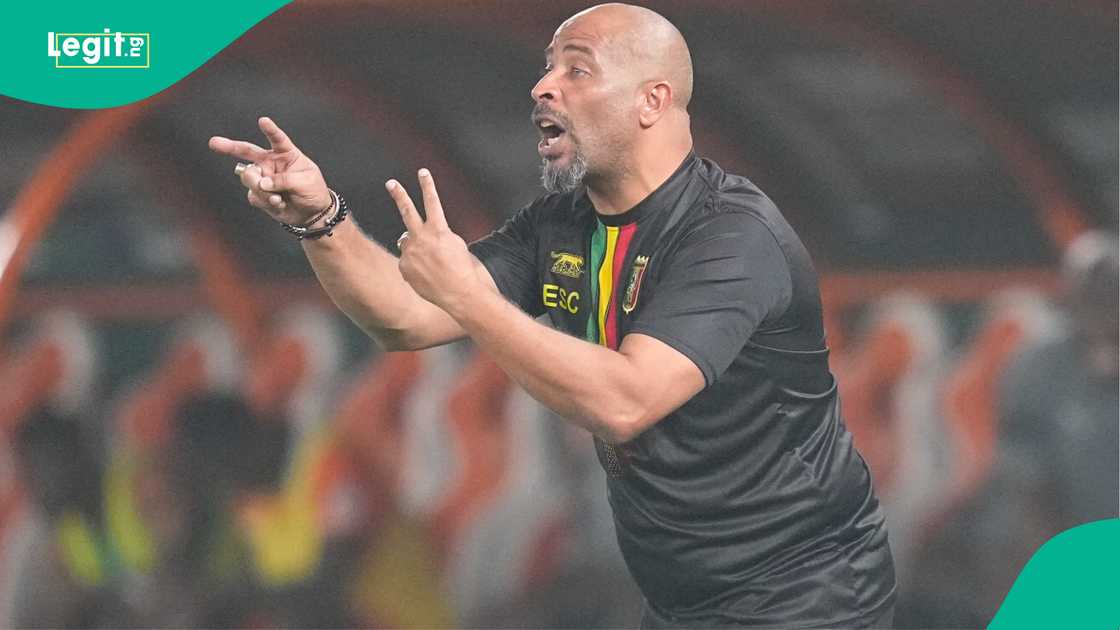 Eric Chelle will hope to emerge victorious at AFCON 2025 with the Nigerian men's national team. Eric Chelle will hope to emerge victorious at AFCON 2025 with the Nigerian men's national team.