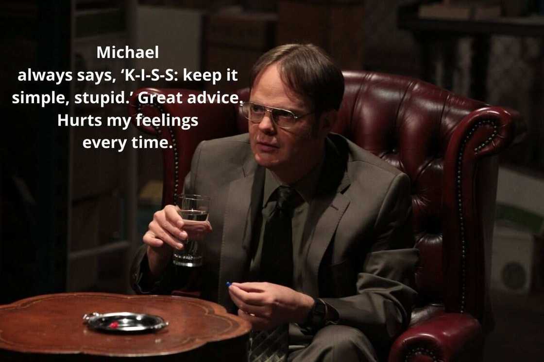 best dwight quotes best dwight quotes