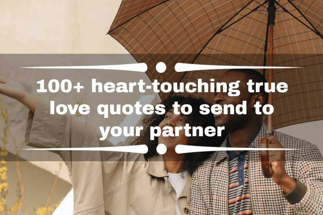 heart-touching true love quotes