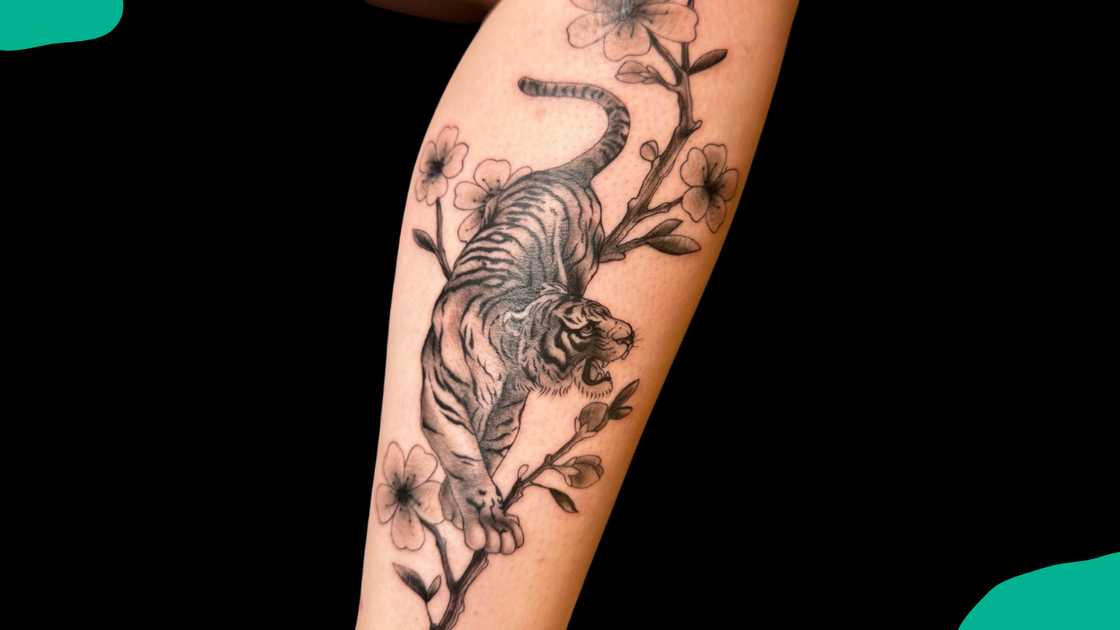 Cherry blossom and tiger design Cherry blossom and tiger design
