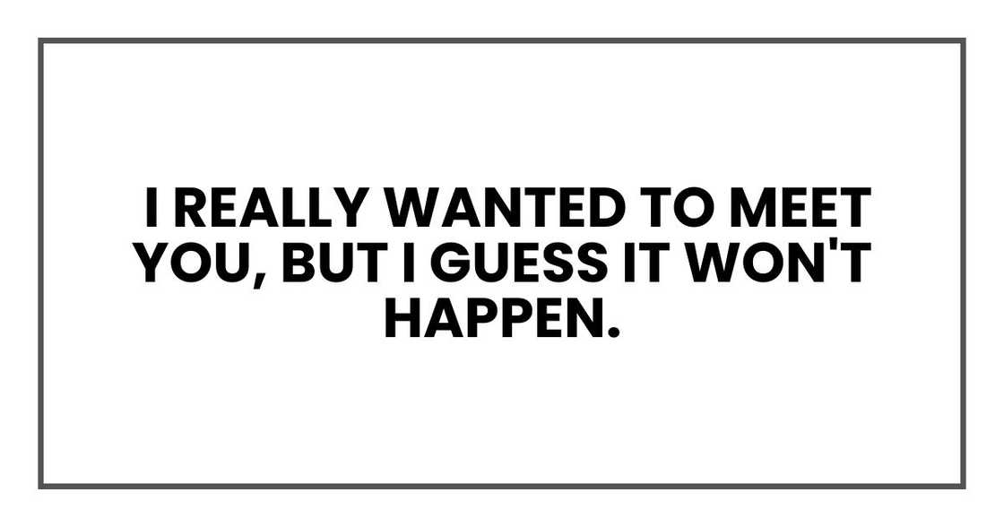 I really wanted to meet you, but I guess it won't happen. I really wanted to meet you, but I guess it won't happen.