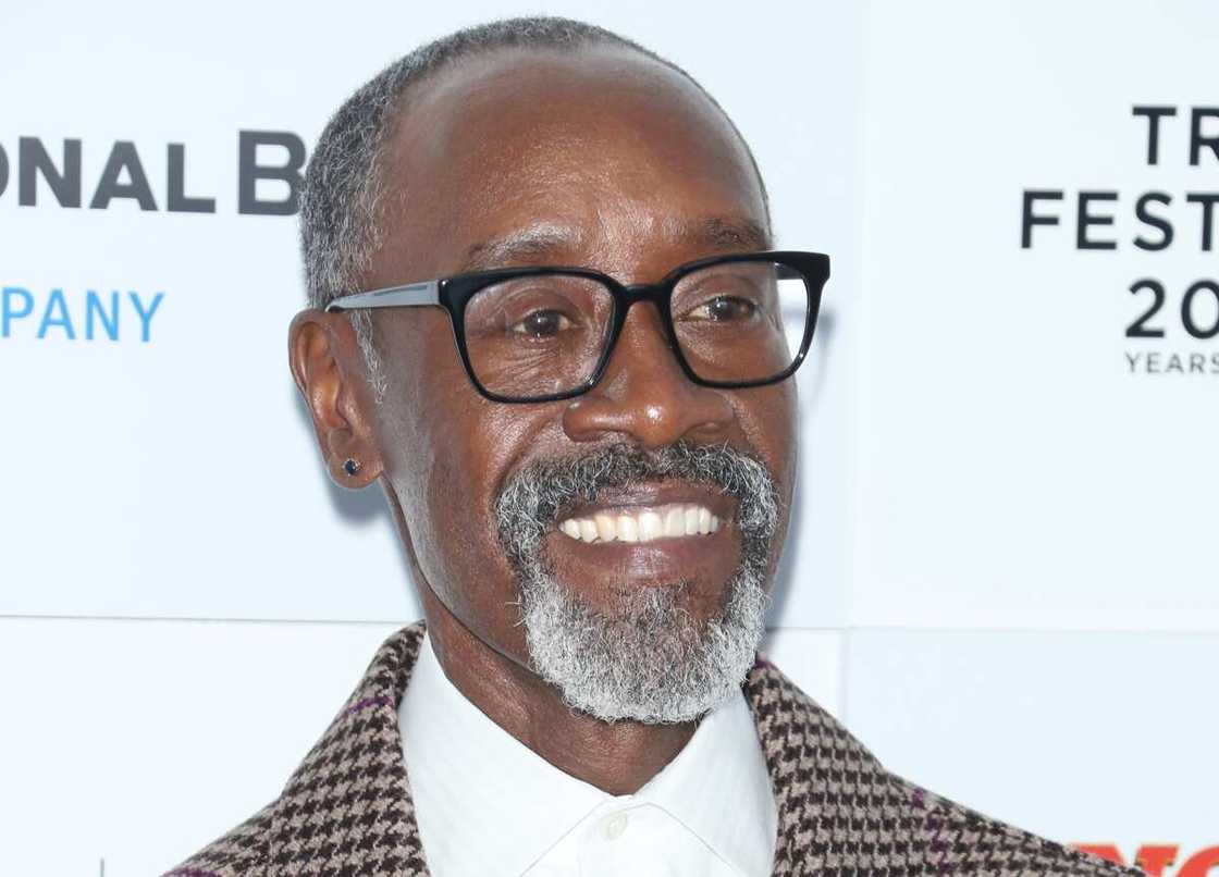 Don Cheadle during the 2021 Tribeca Festival Don Cheadle during the 2021 Tribeca Festival