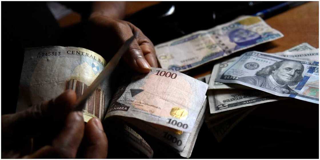 Sales of dollars won't stop amid forex ban by CBN, Bureau de Change association has stated Sales of dollars won't stop amid forex ban by CBN, Bureau de Change association has stated