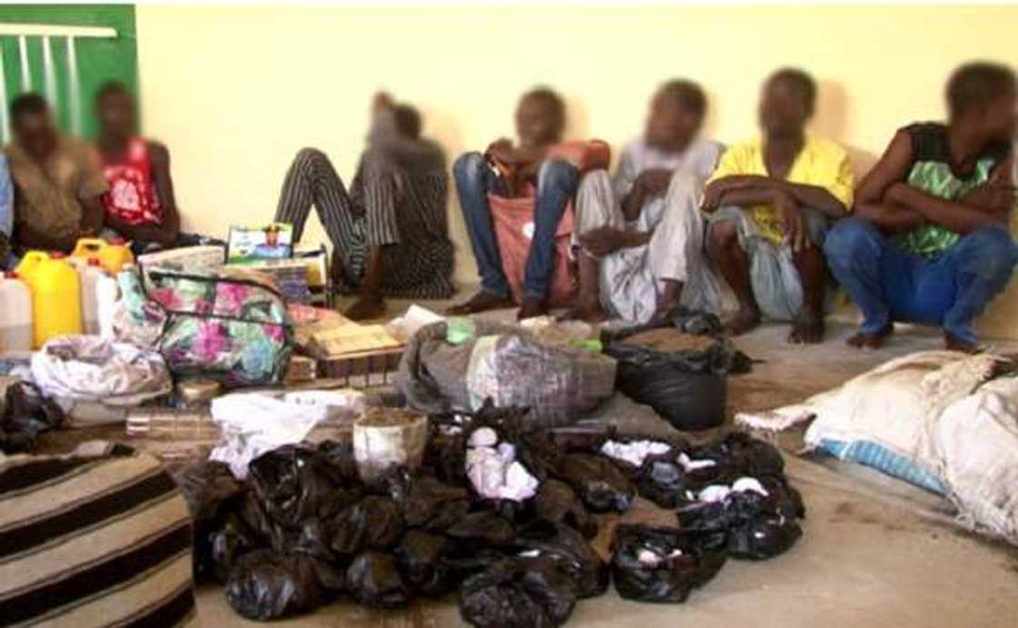 An kama wasu manyan masu safarar miyagun kwayoyi a Borno (Hotuna) An kama wasu manyan masu safarar miyagun kwayoyi a Borno (Hotuna)