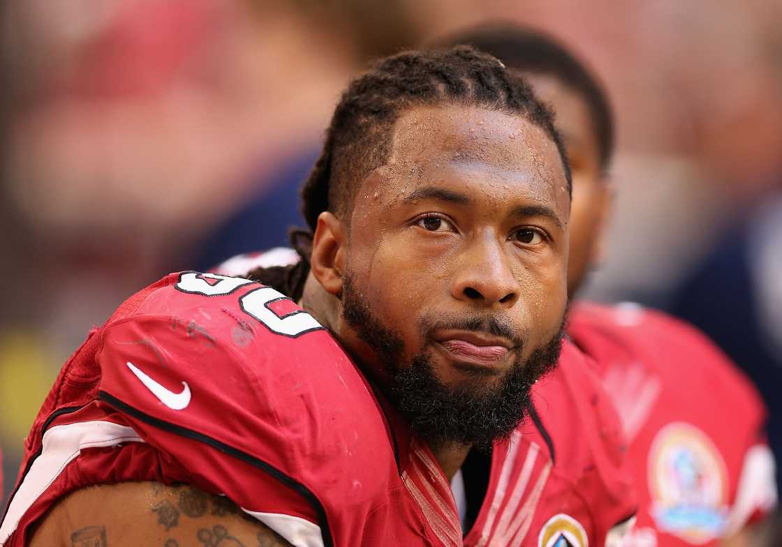 Darnell Dockett watches from the sidelines during the NFL game against the Detroit Lions at the University of Phoenix Stadium Darnell Dockett watches from the sidelines during the NFL game against the Detroit Lions at the University of Phoenix Stadium