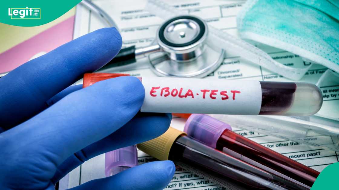 Ebola in Nigeria: How disease discovered in 1976 has returned in 2026 Ebola in Nigeria: How disease discovered in 1976 has returned in 2026