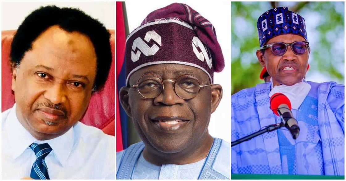 Shehu Sani, President Bola Tinubu/ Muhammadu Buhari/ Food security/ Buhari's deception about food security/ Tinubu exposes Buhari deception Shehu Sani, President Bola Tinubu/ Muhammadu Buhari/ Food security/ Buhari's deception about food security/ Tinubu exposes Buhari deception