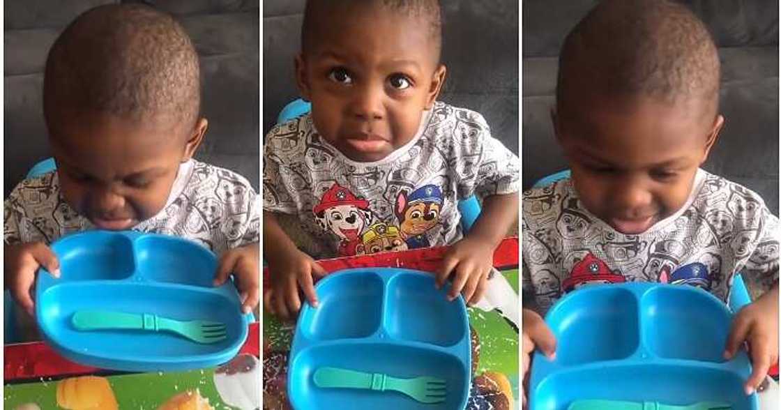 Mum pranks little son, empty plate of food Mum pranks little son, empty plate of food