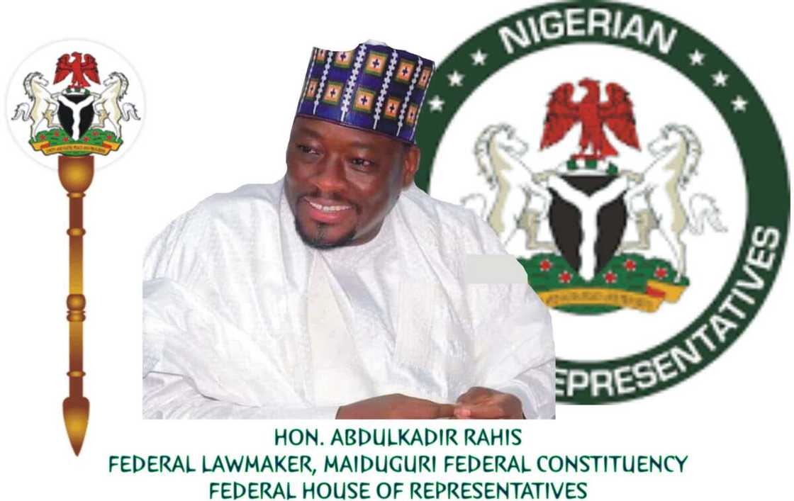Lawmaker sacks aide for calling Boko Haram leader Shekau hero Lawmaker sacks aide for calling Boko Haram leader Shekau hero