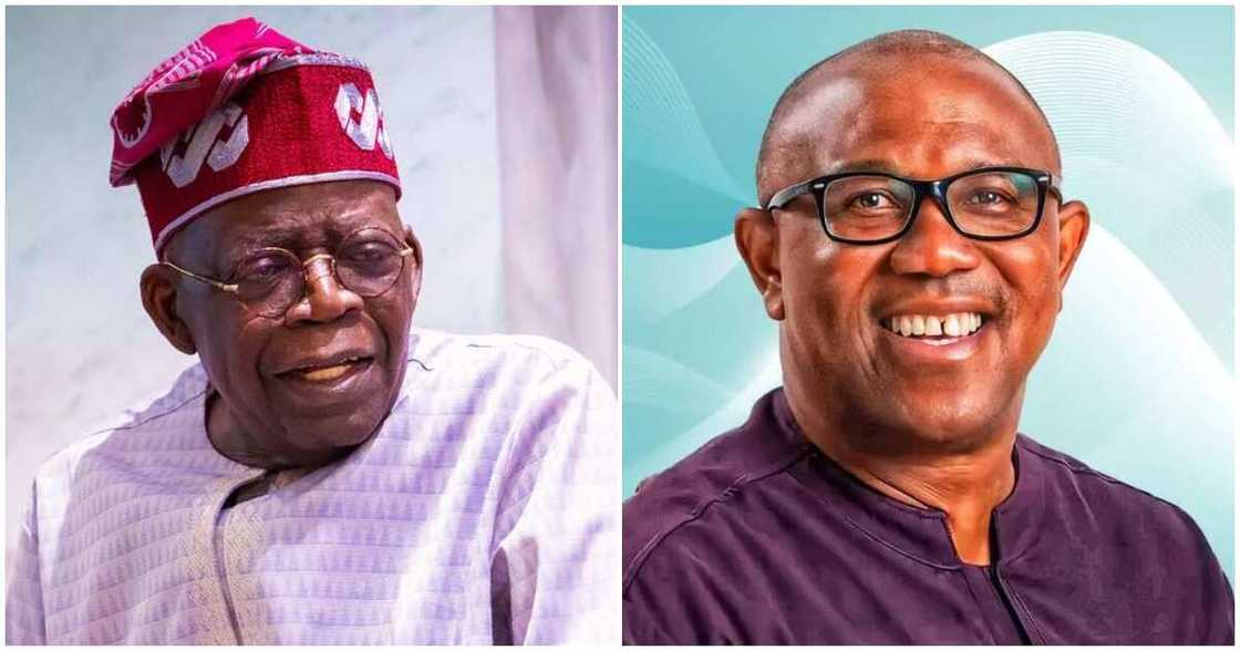 Bola Tinubu news/Peter Obi news