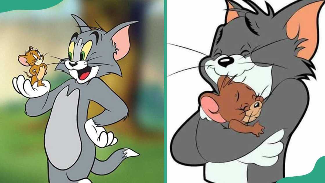 Tom and Jerry Tom and Jerry