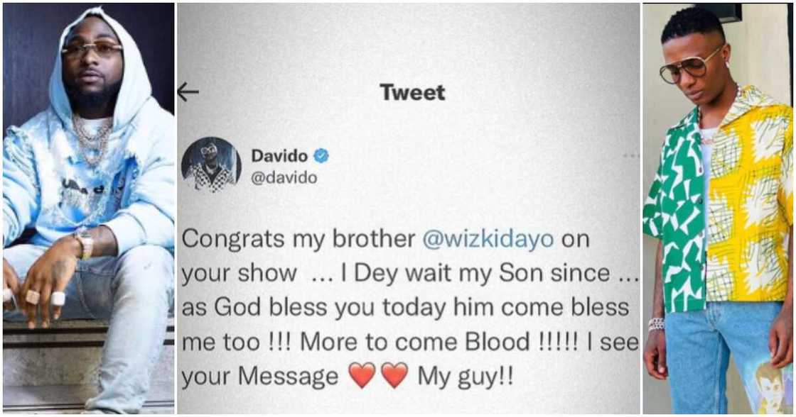 Davido, Wizkid