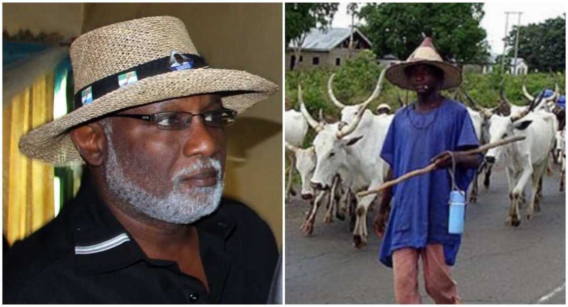 Babu uban da ya isa ya kori Fulani daga dazukan jihar Ondo, shugaban Miyetti Allah Babu uban da ya isa ya kori Fulani daga dazukan jihar Ondo, shugaban Miyetti Allah