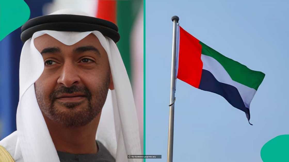 UAE lists 16 things employers must do for domestic workers