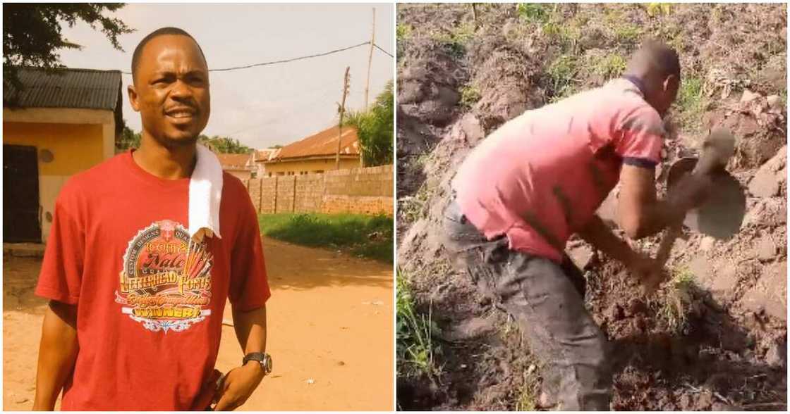 Daniel Gbenda, law student who is a farmer, Benue state Daniel Gbenda, law student who is a farmer, Benue state