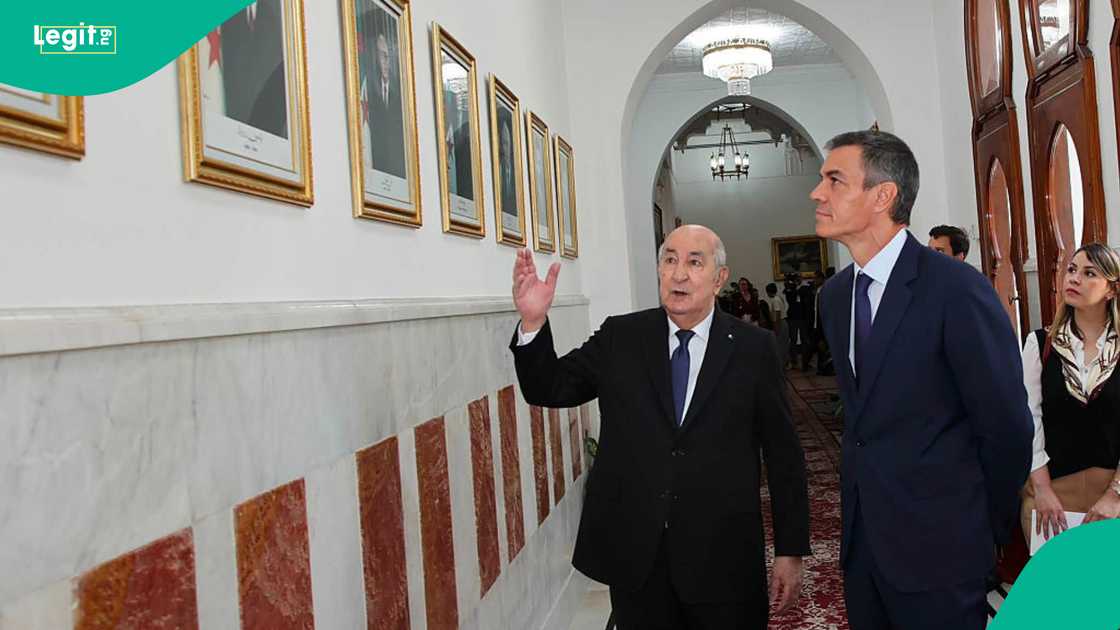 Algerian government maintains regional ties by granting visa waivers to neighboring North African states. Algerian government maintains regional ties by granting visa waivers to neighboring North African states.